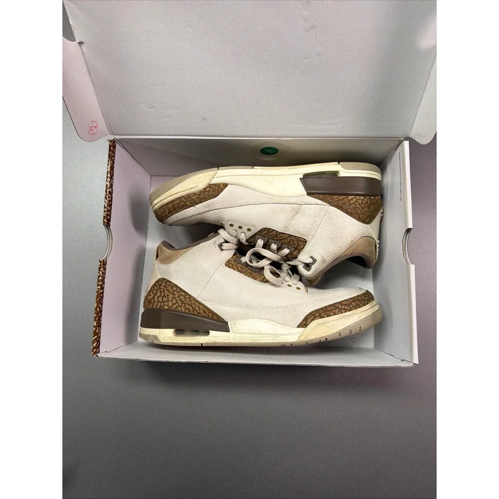 Nike Air Jordan 3 Orewood Brown 'Palomino' Men's US Size 11.5